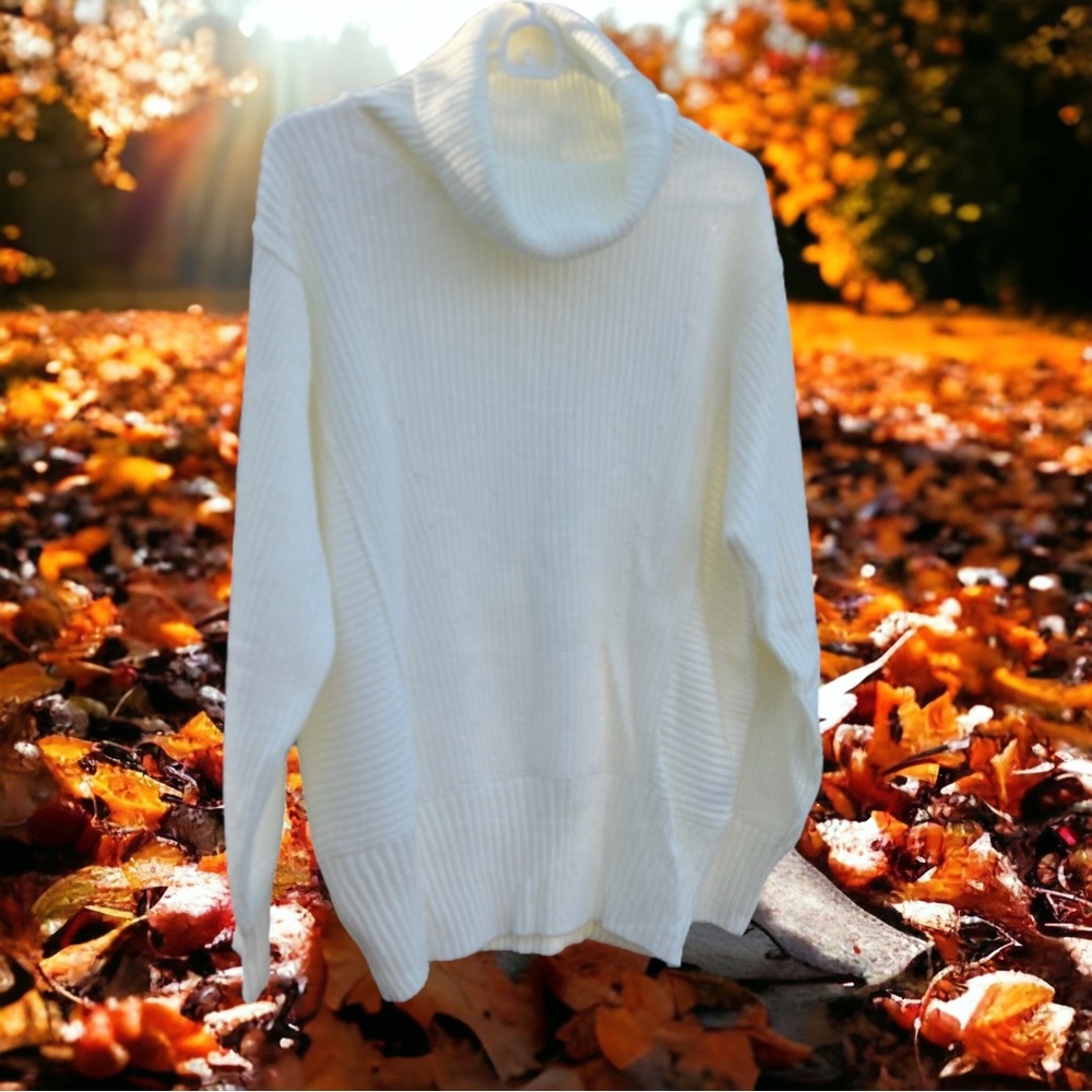 Women's Fall Winter Long Sleeve Oversized Knit High Turtleneck Sweater Small